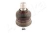 ASHIKA 73-08-805 Ball Joint